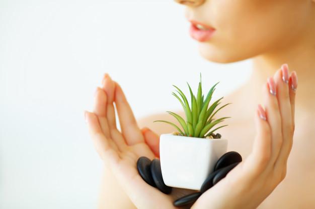 7 Amazing Aloe Vera Beauty Recipes for Smooth Hair and Glowing Skin that you should try | WishCare