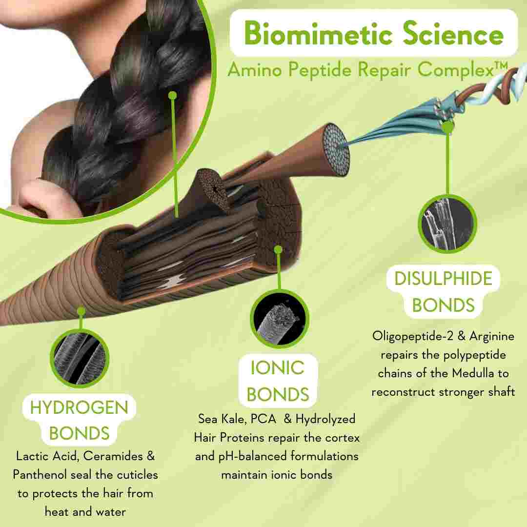 describing the biomimetic science behind peptide serum