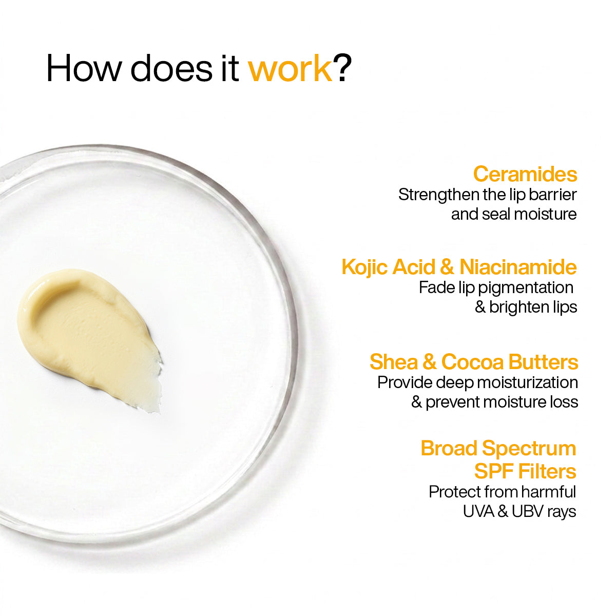 Ceramide Lip Balm with SPF 50 PA++++