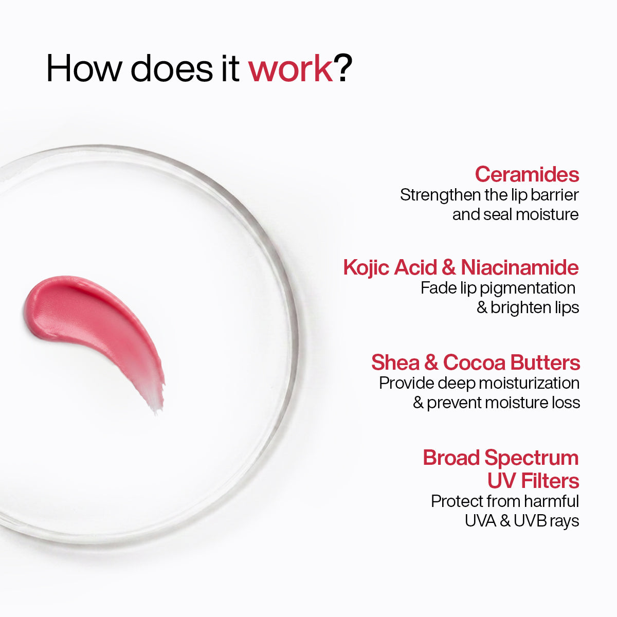 Ceramide Lip Balm with SPF 50 PA++++
