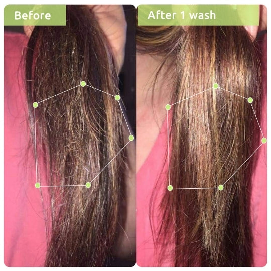 Anti-Frizz Triple Bond Repair Hair Duo