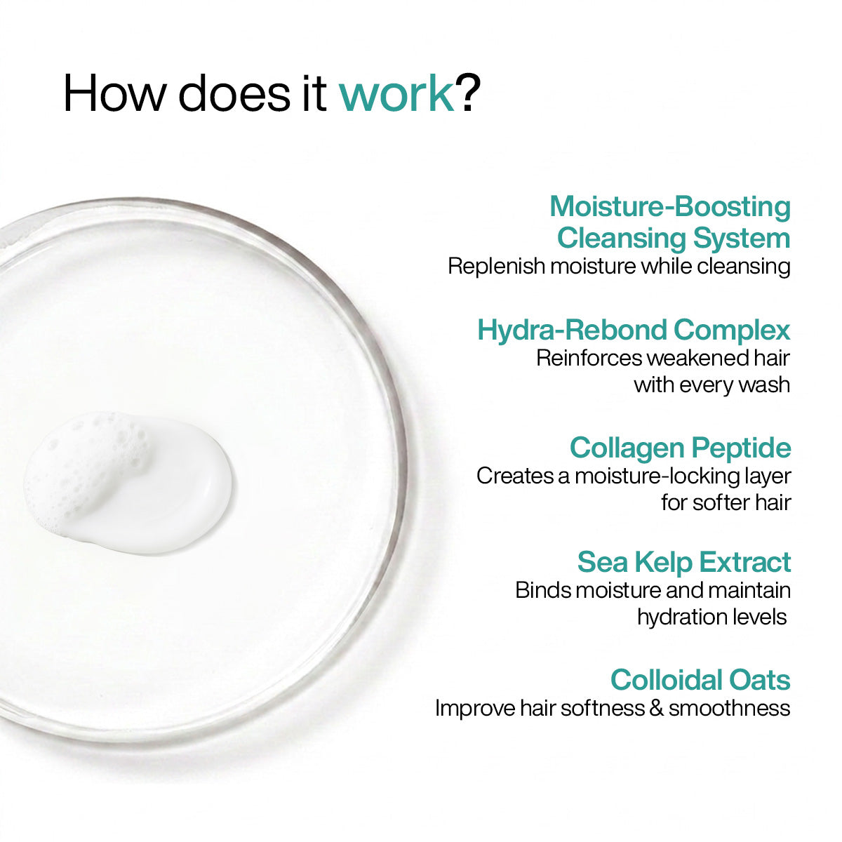 WishCare Collagen Damage repair shampoo ingredients - Hydra-Rebond complex, collagen peptide, sea kelp extract, colloidal oats. Deep conditioning collagen shampoo for dry hair
