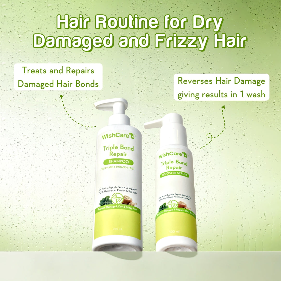 haircare routine for dry and frizzy hair