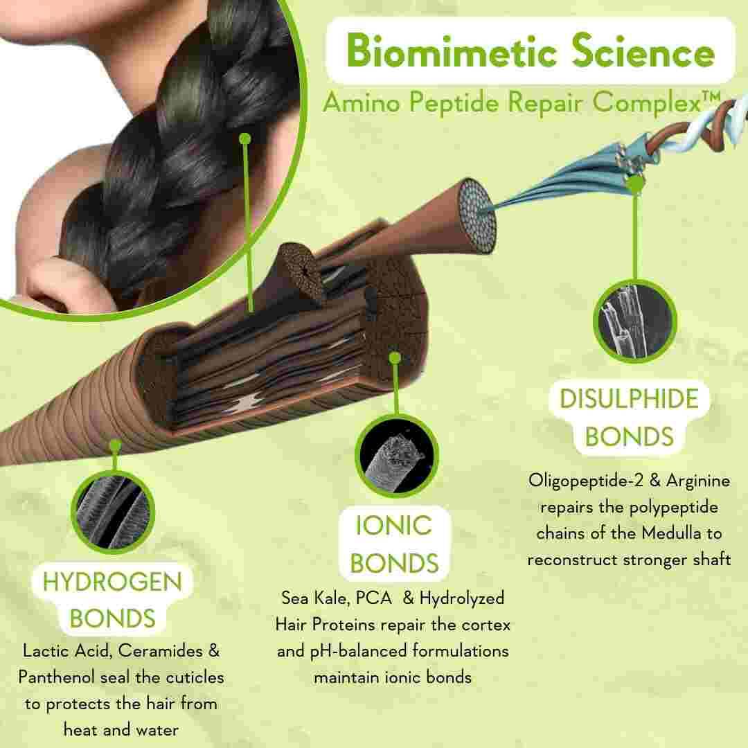 describing the biomimetic science behind shampoo for dry hair