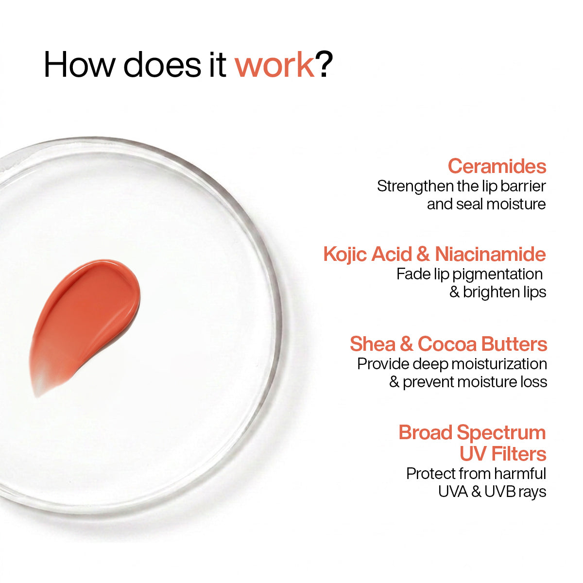 Ceramide Lip Balm with SPF 50 PA++++