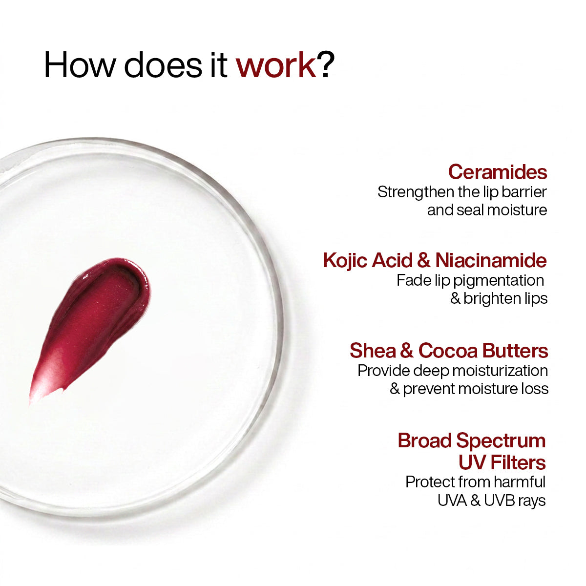 Ceramide Lip Balm with SPF 50 PA++++
