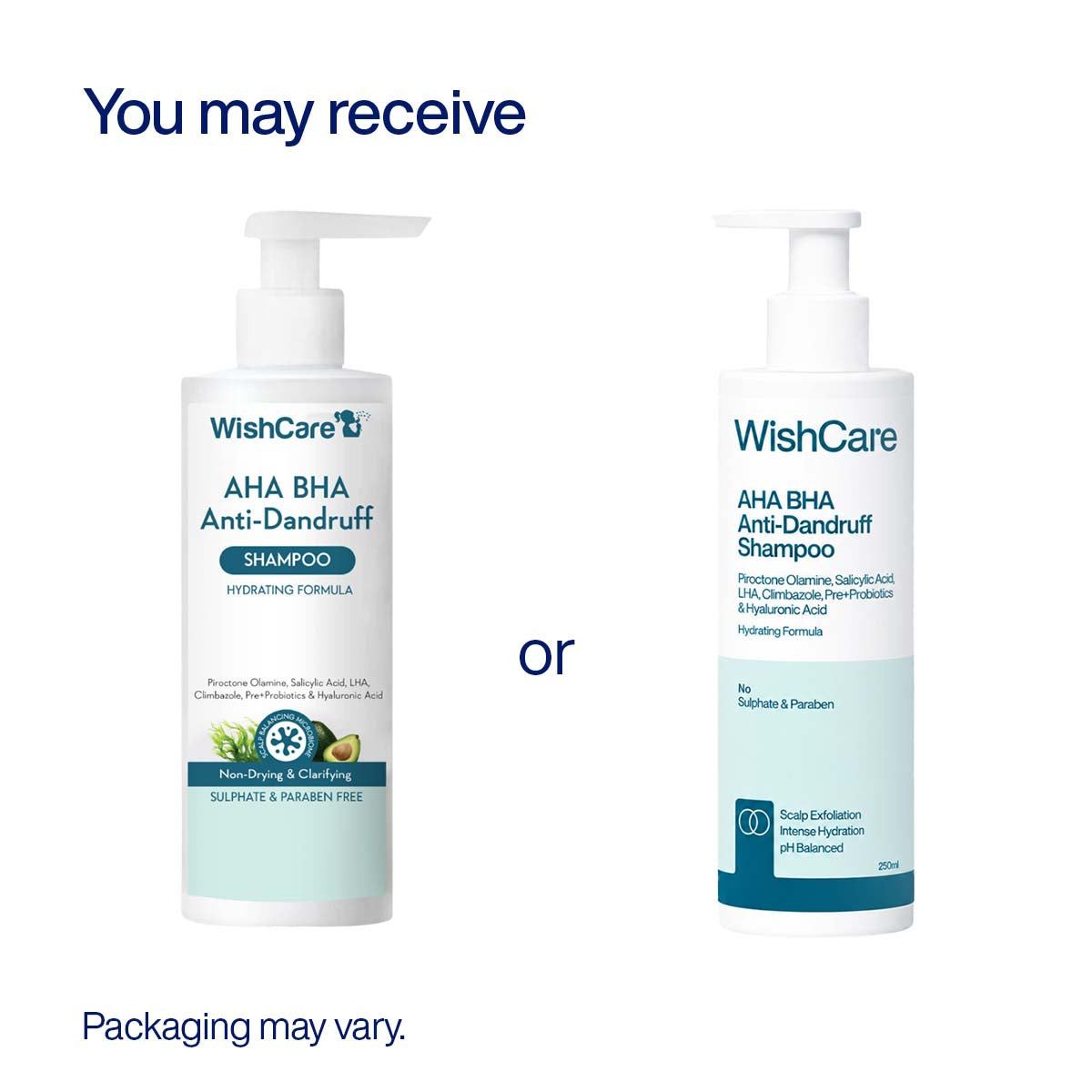 AHA BHA Anti-Dandruff Shampoo
