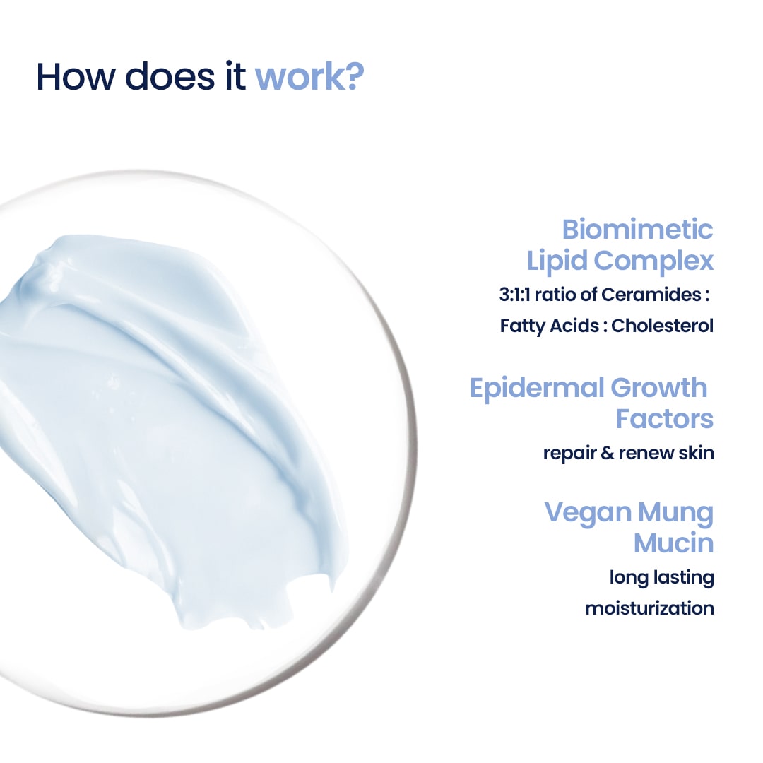 image describing how this best moisturizer helps in skin barrier repair