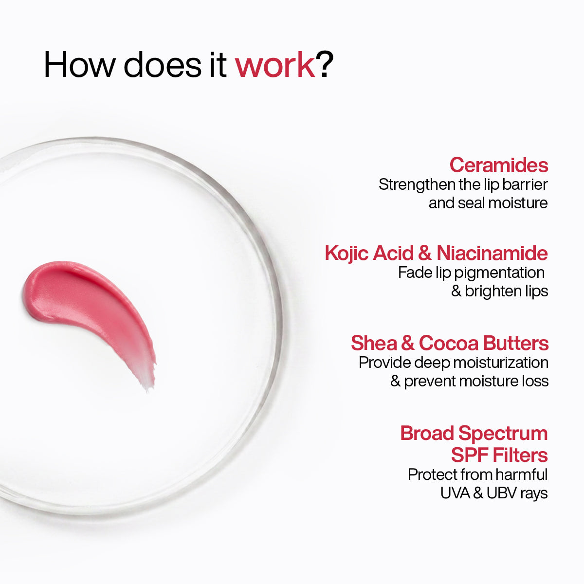 Ceramide Lip Balm with SPF 50 PA++++